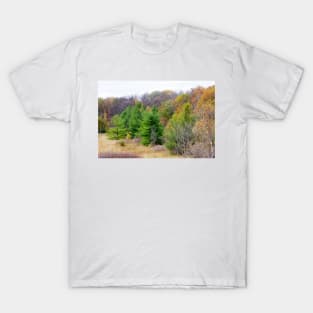 Pines and Fall Colors T-Shirt